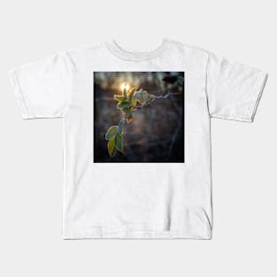 frost on leaf at sunset Kids T-Shirt